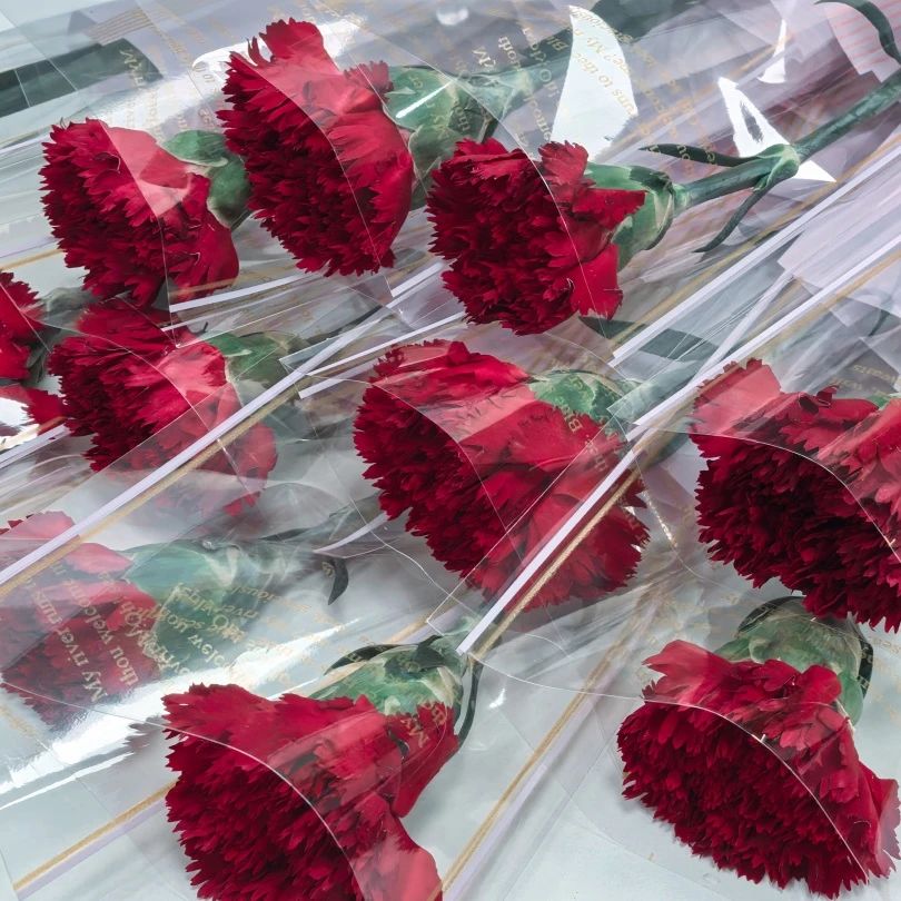 婦女節(jié) | 春風(fēng)如你，熠熠芳華